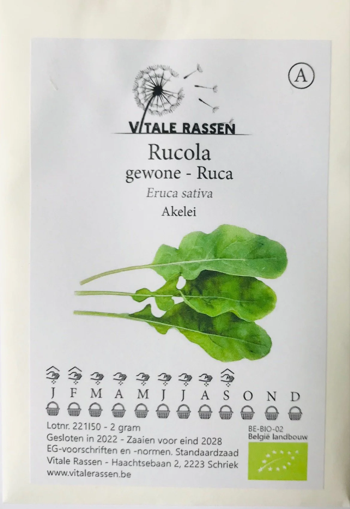 Rucola-Vitale-rassen.jpg