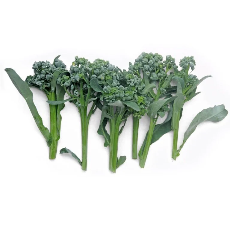 Broccolini-Staygold-Vitalerassen.jpg
