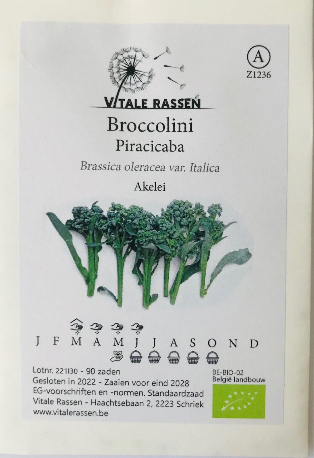 Broccolini-Vitale-rassen.jpg