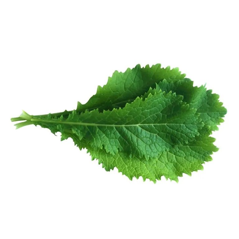 Bladmosterd-Pizzo-Middel.jpg kopie.jpg