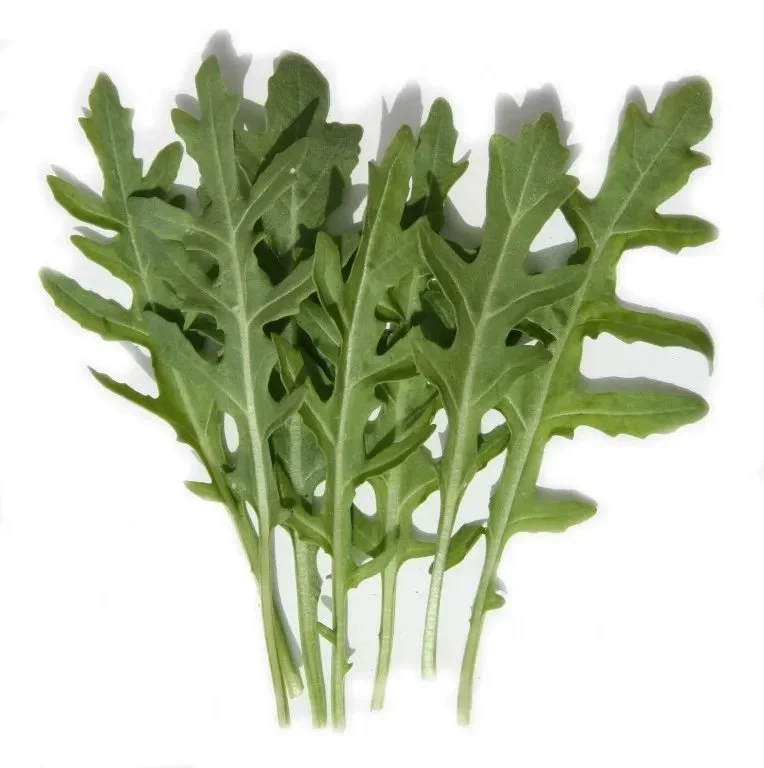 Rucola-wild-Middel.jpg kopie.jpg