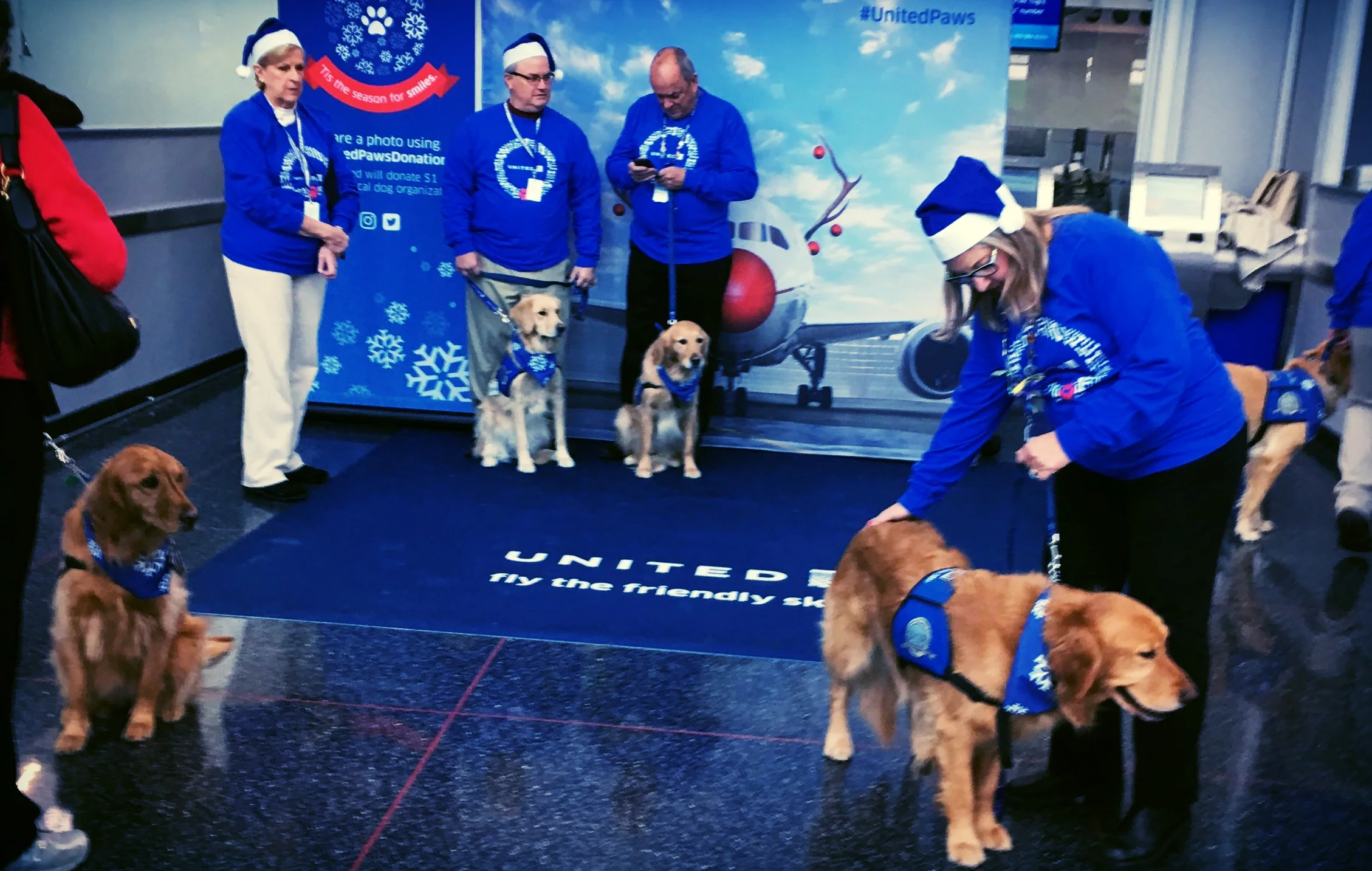 I'm definitely grateful for the care puppies I saw today in the Chicago airport on my way back to Atlanta. 