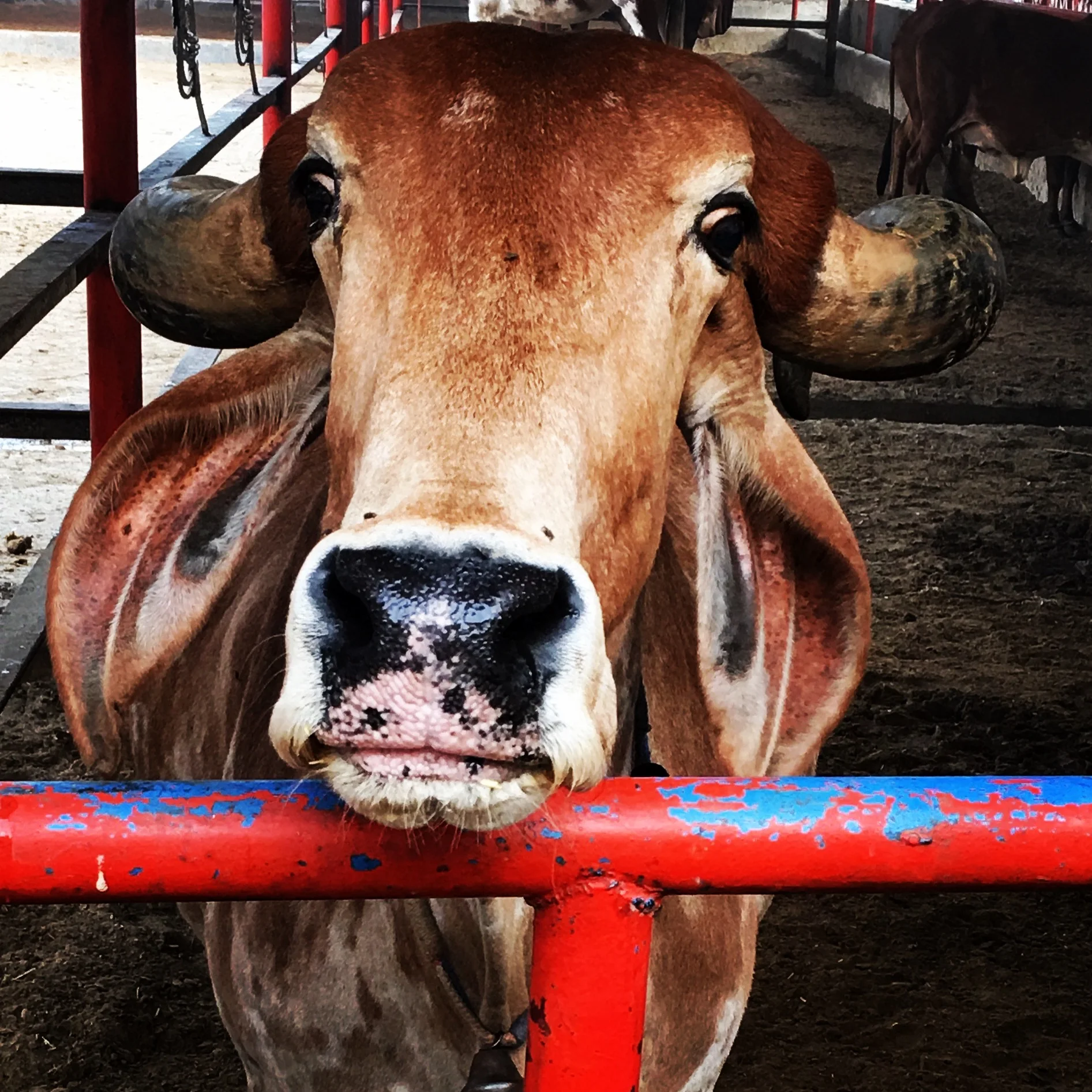  No matter how much we think we might know, it's always a good idea to see it through fresh eyes. 