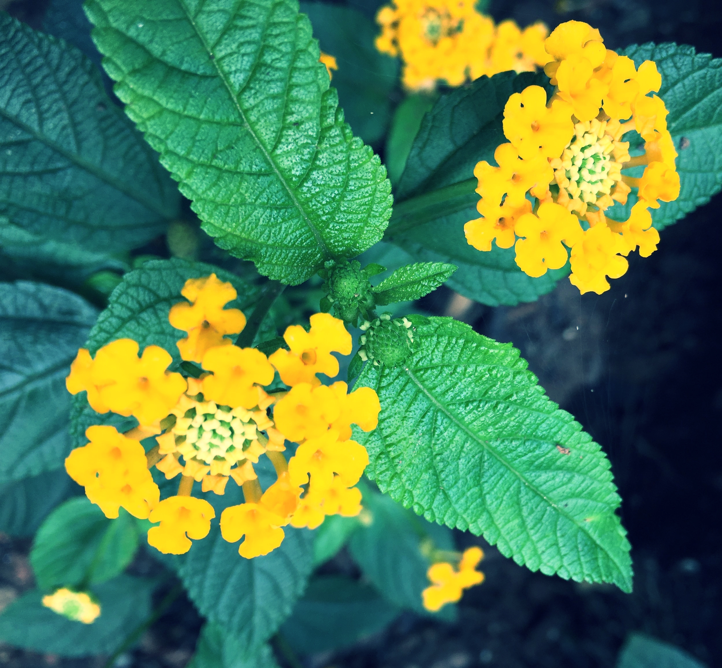  Life is carrying you in the direction of evolution no matter what is happening. 