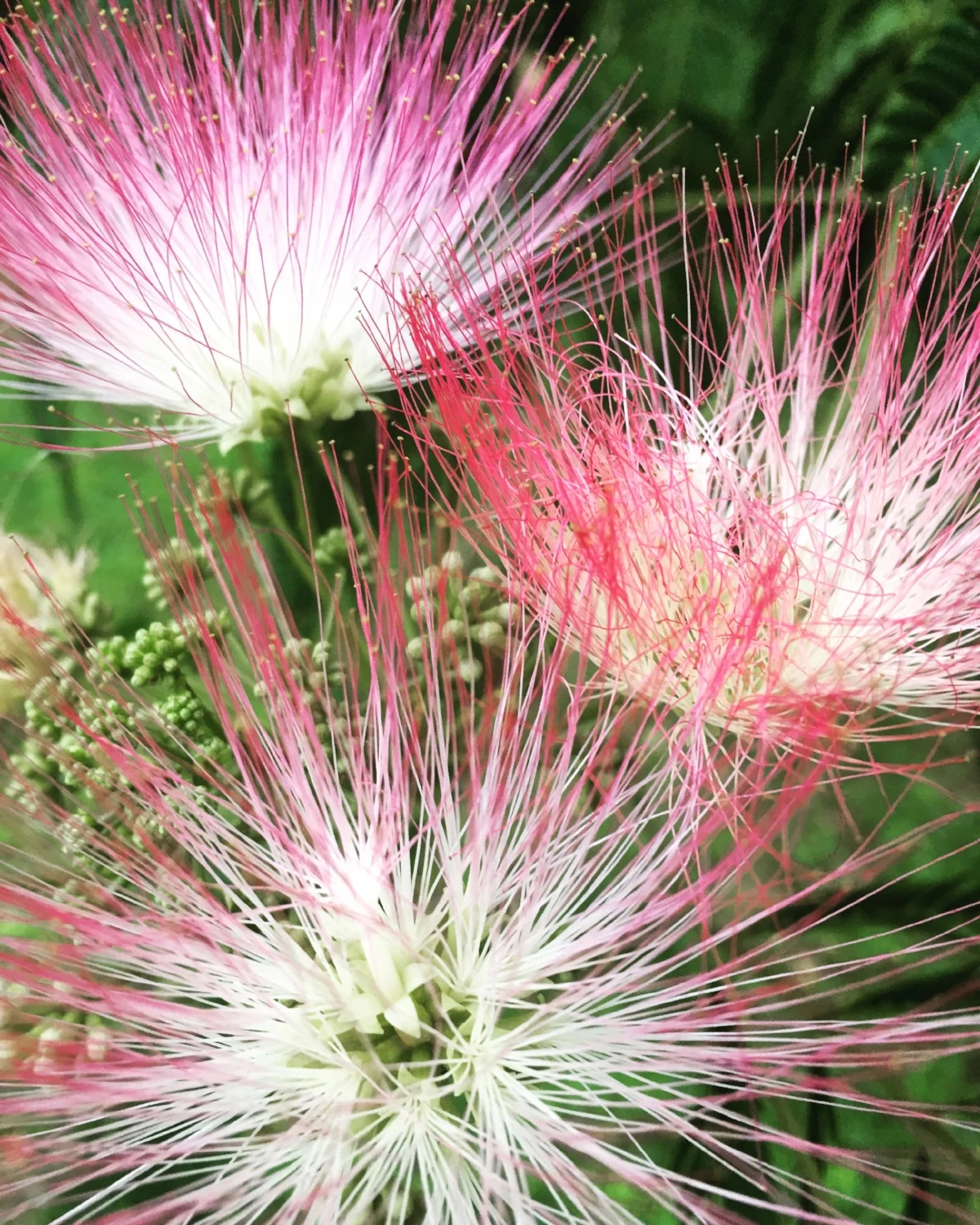  We just  know  that it’s gonna be ok. Actually, it’s gonna be great. 