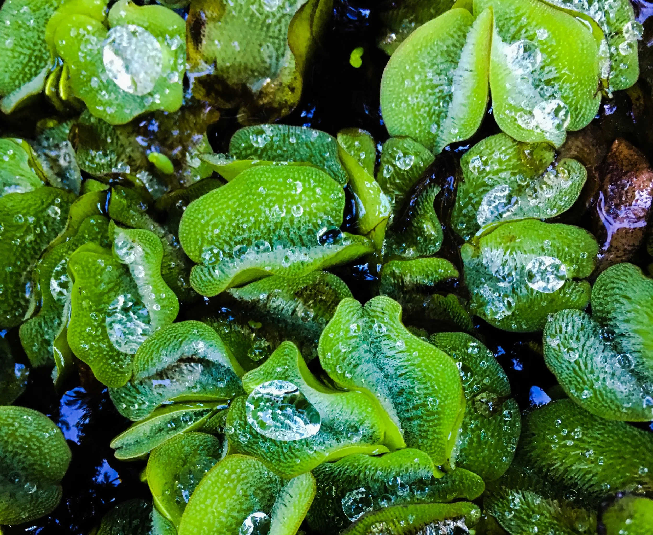  We can access bliss on the regular. 