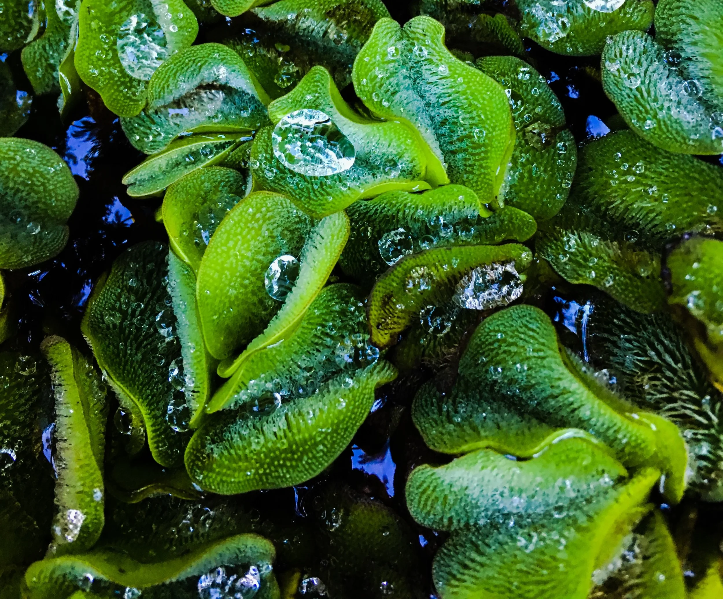  I listened to myself and remembered my own journey. The complete transformation that began when I learned to meditate. 