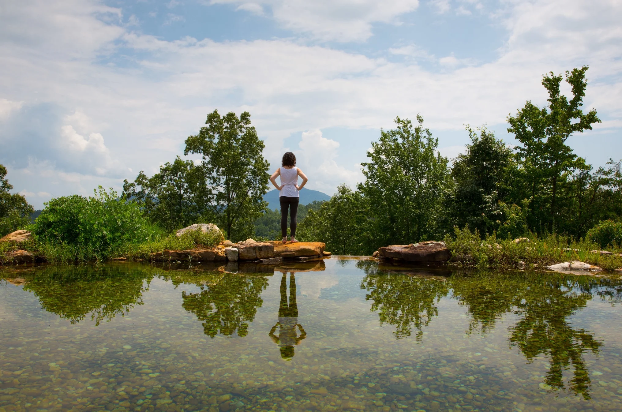  What we put our attention on grows. 