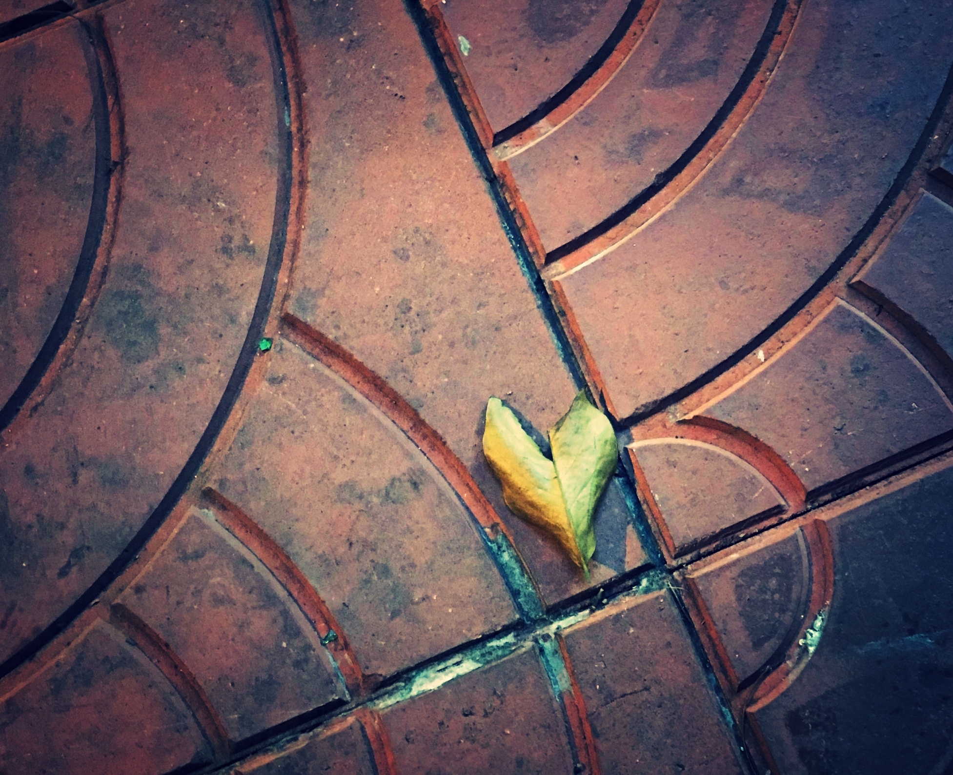  I literally needed to open my heart- both physically and emotionally, and I didn’t have the tools to do that myself. 