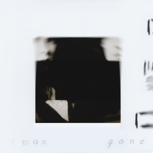 Swan Gone Cover.jpeg