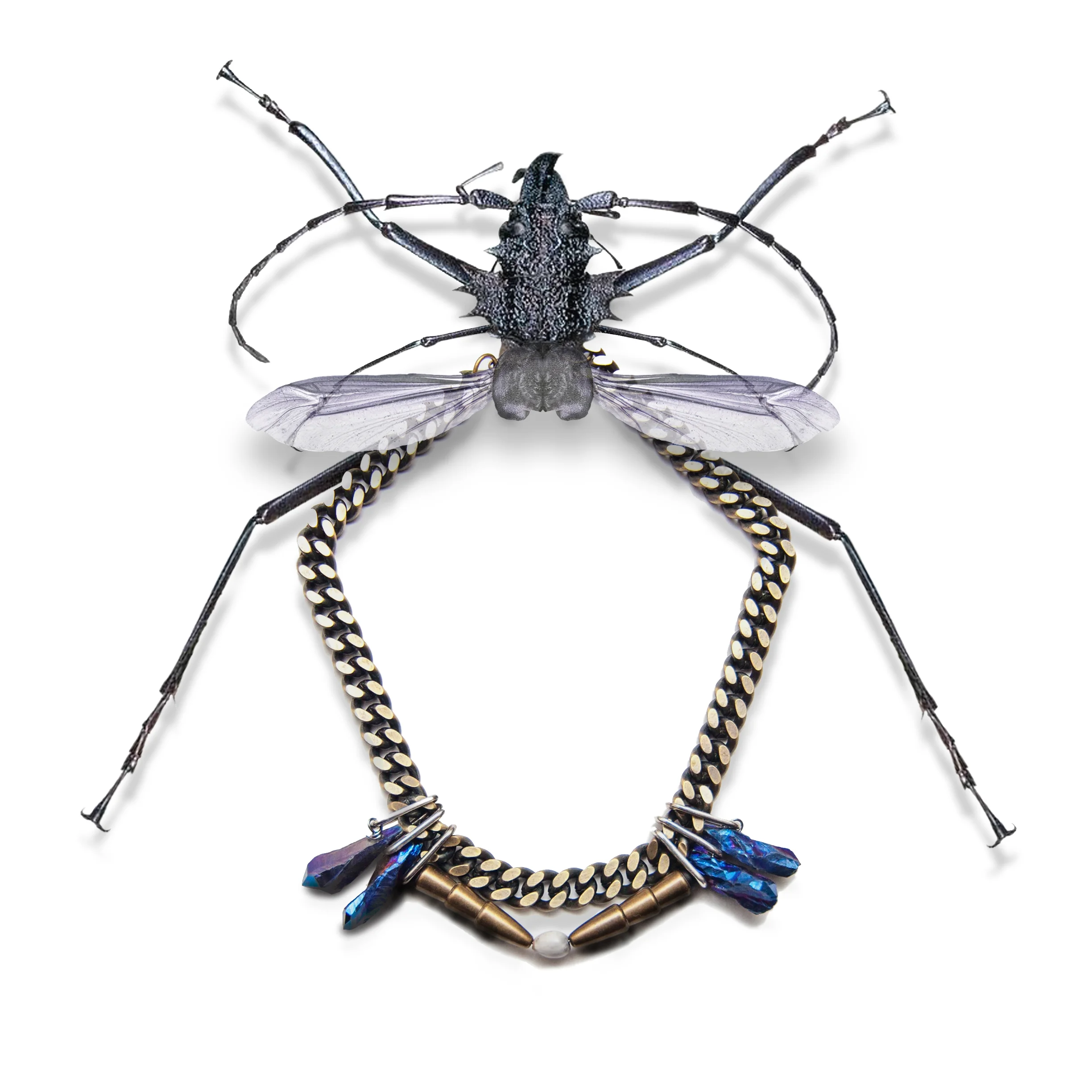 WildMoon_SS15_Insects_0002.jpg