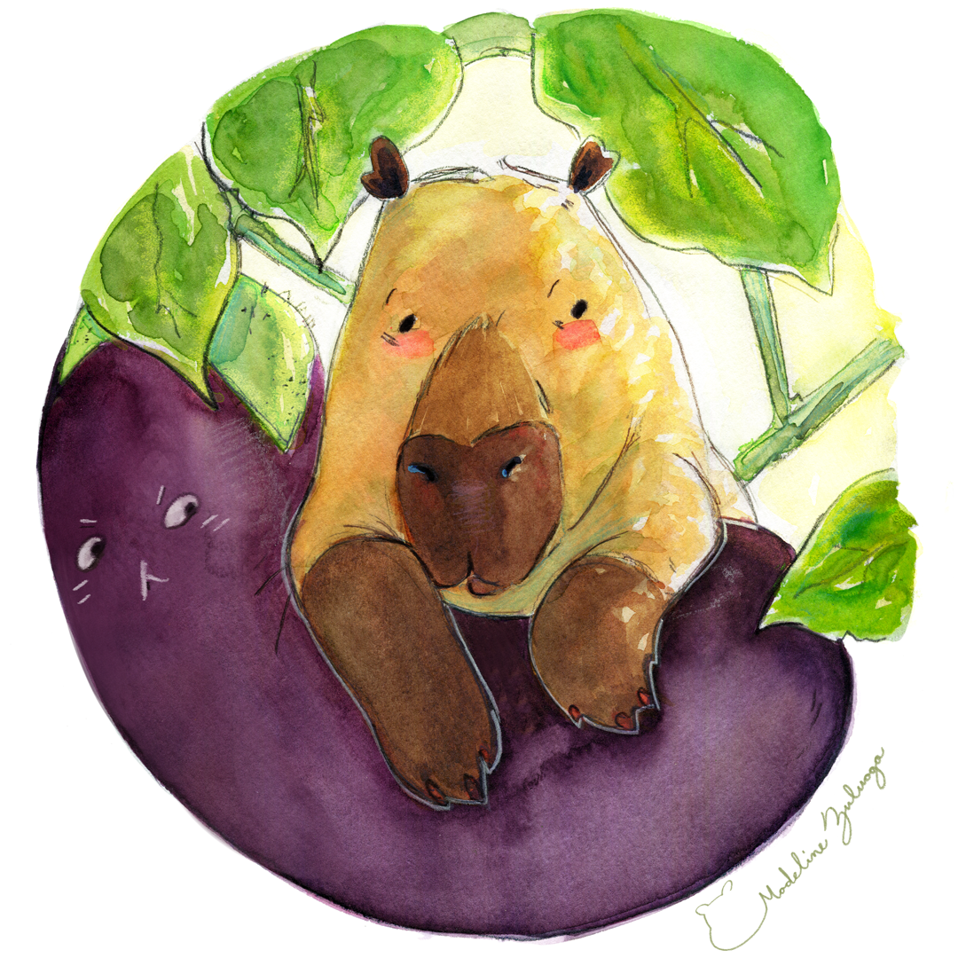 Madeline-Zuluaga-Capybara-and-Eggplant-Instagram-ver.png