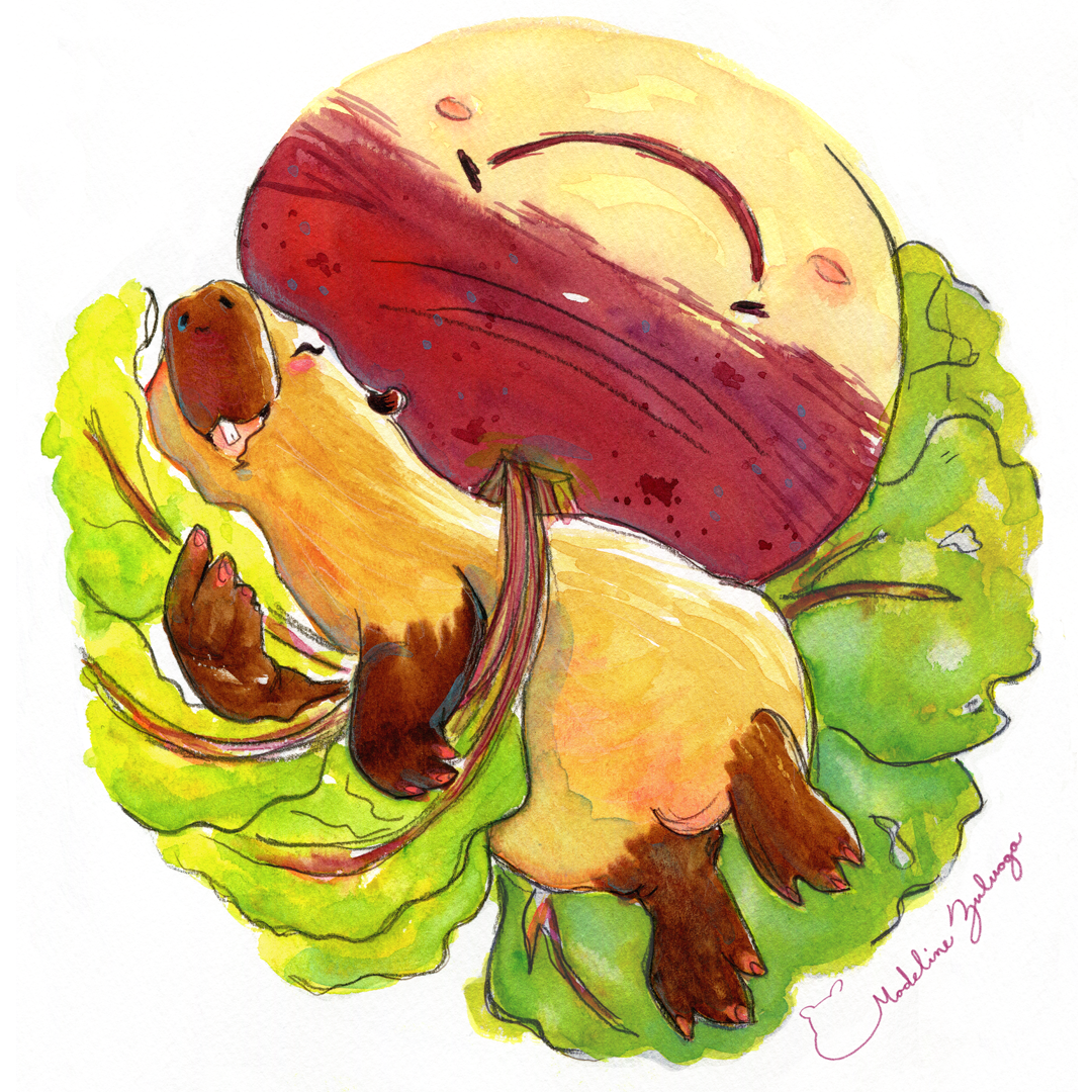 Madeline-Zuluaga-Capybara-and-Turnip-instagram-ver-.png