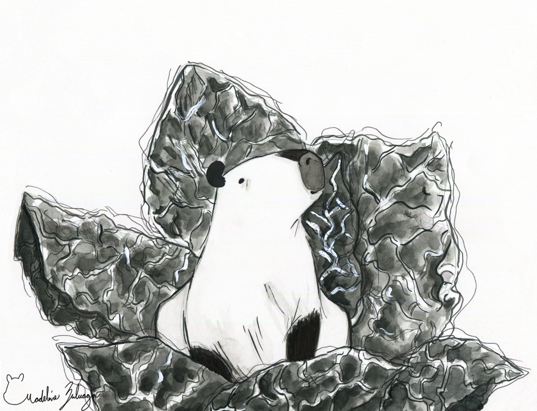 Inktober-4-Madeline-Zuluaga-Capybara-and-its-cabbage-patch.png