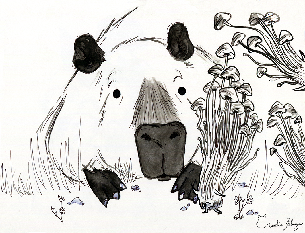 Madeline-Zuluaga-Inktober-5--Capybara-and-the-case-of-the-curious-mushroom.png