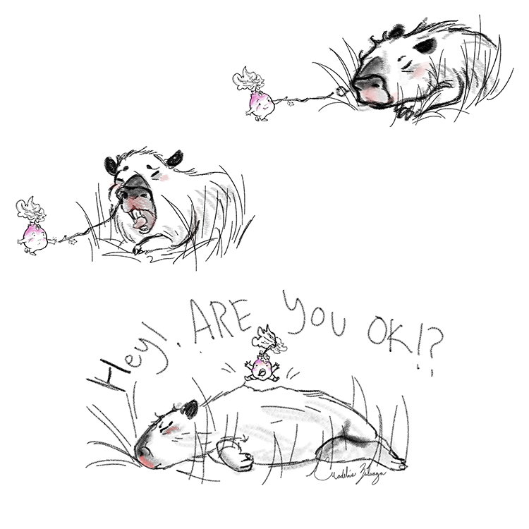 Madeline-Zuluaga-Sample-page-5-Capybara-Ferry.png