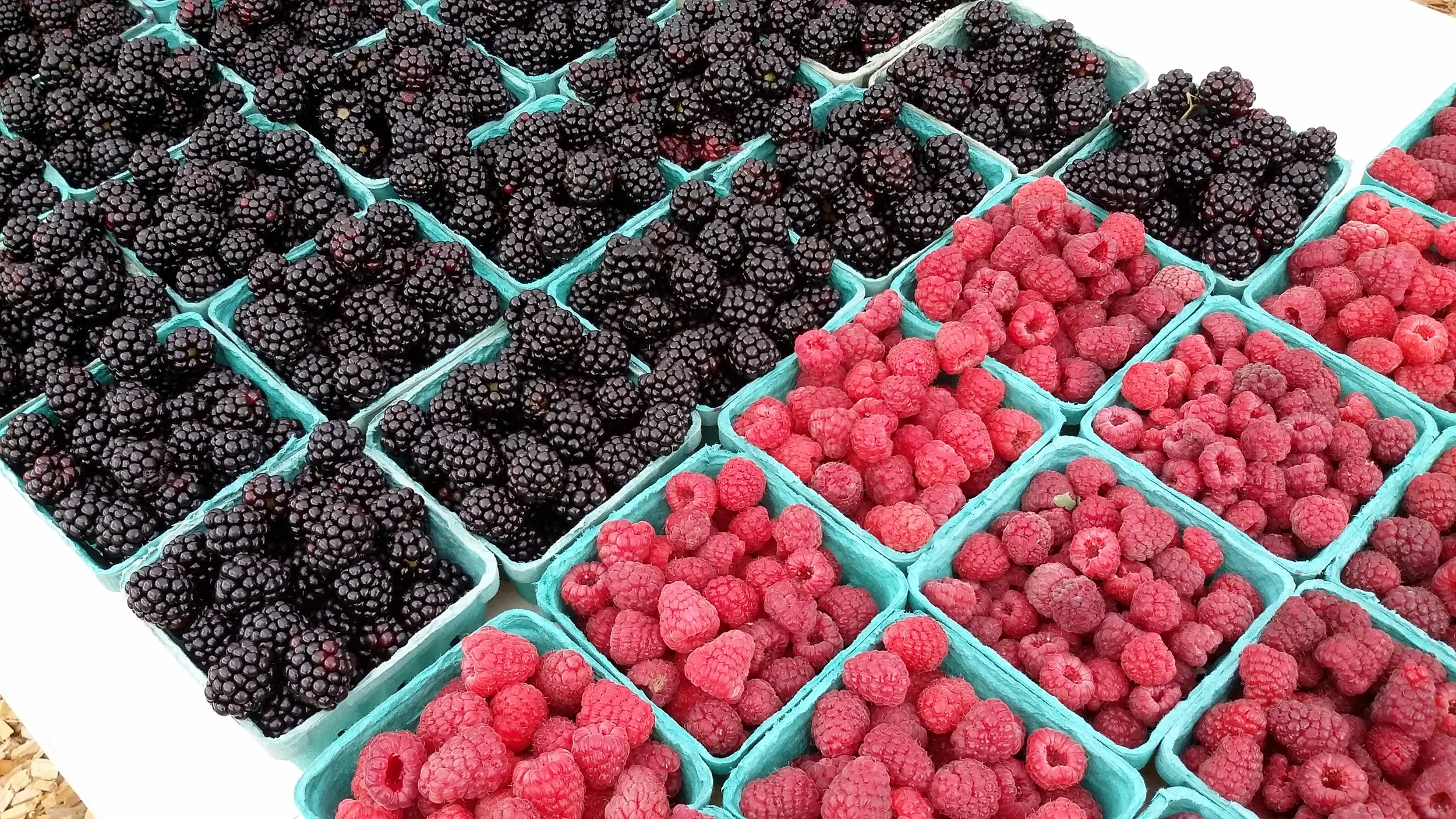 Trapani Farms