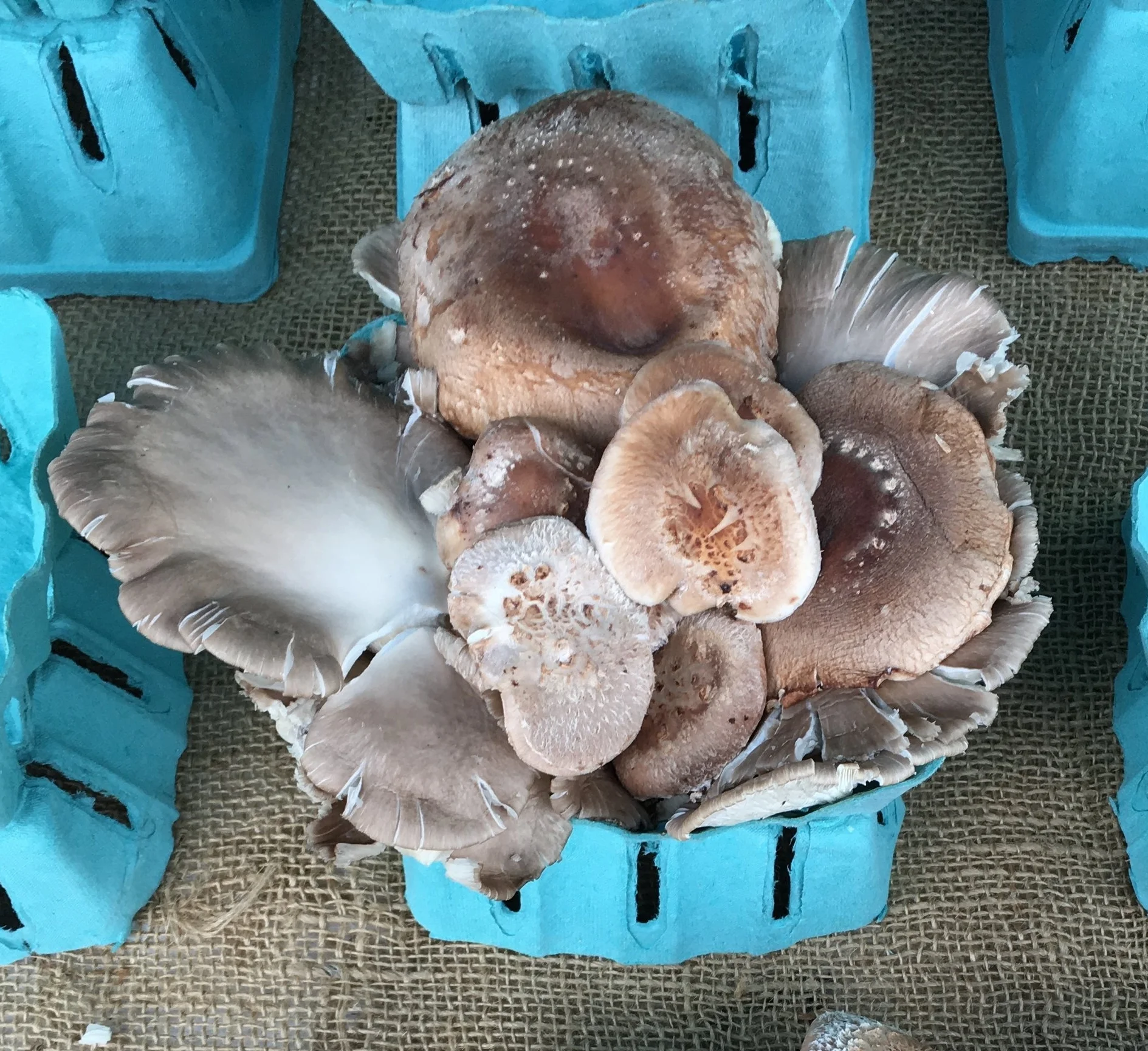 Callicoon Farmers' Market