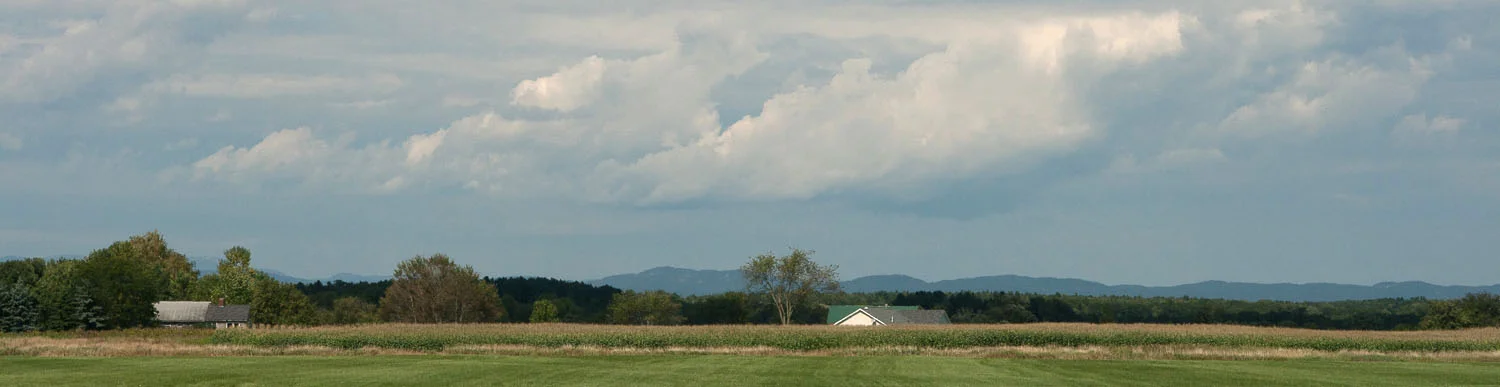 IMG_8200 CROPPED.jpg