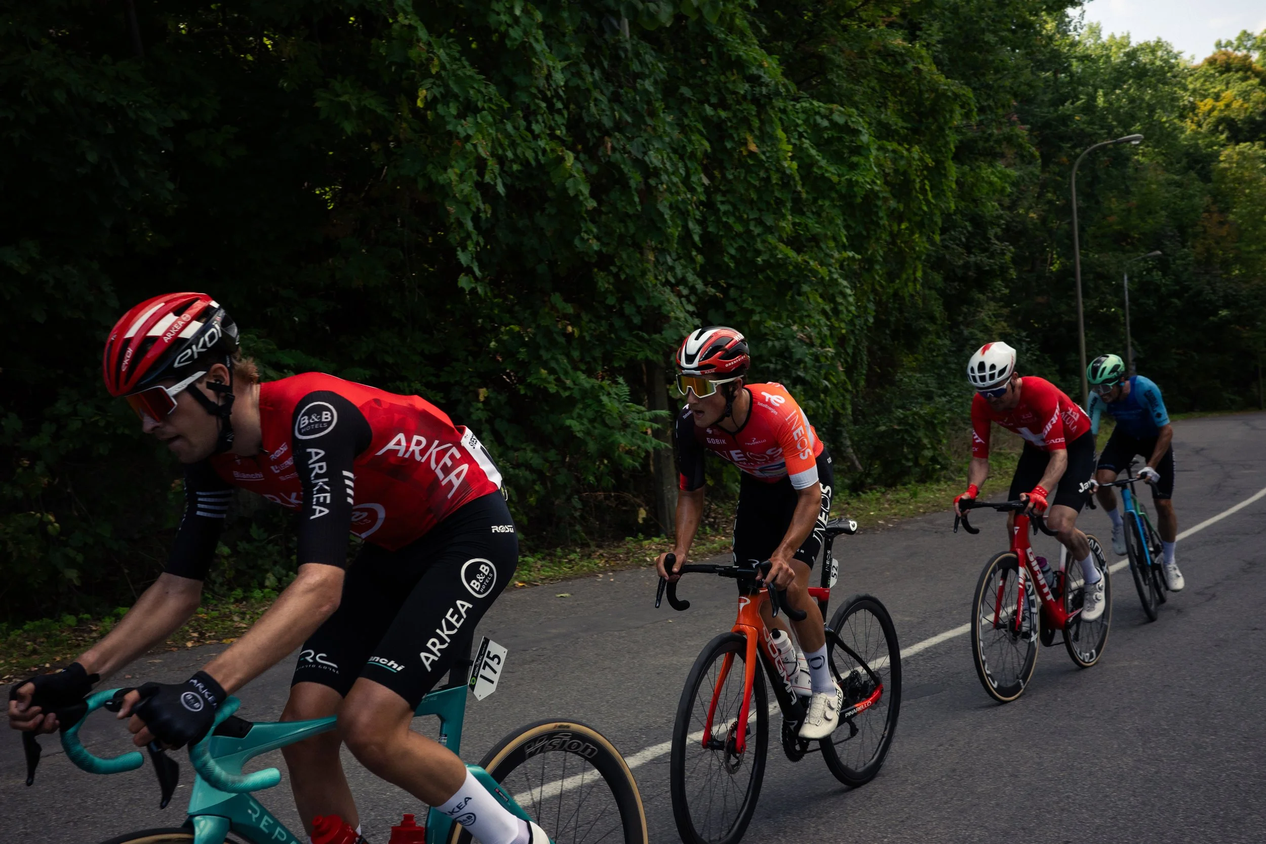 Four cyclists riding on a paved road surrounded by green trees during daytime.