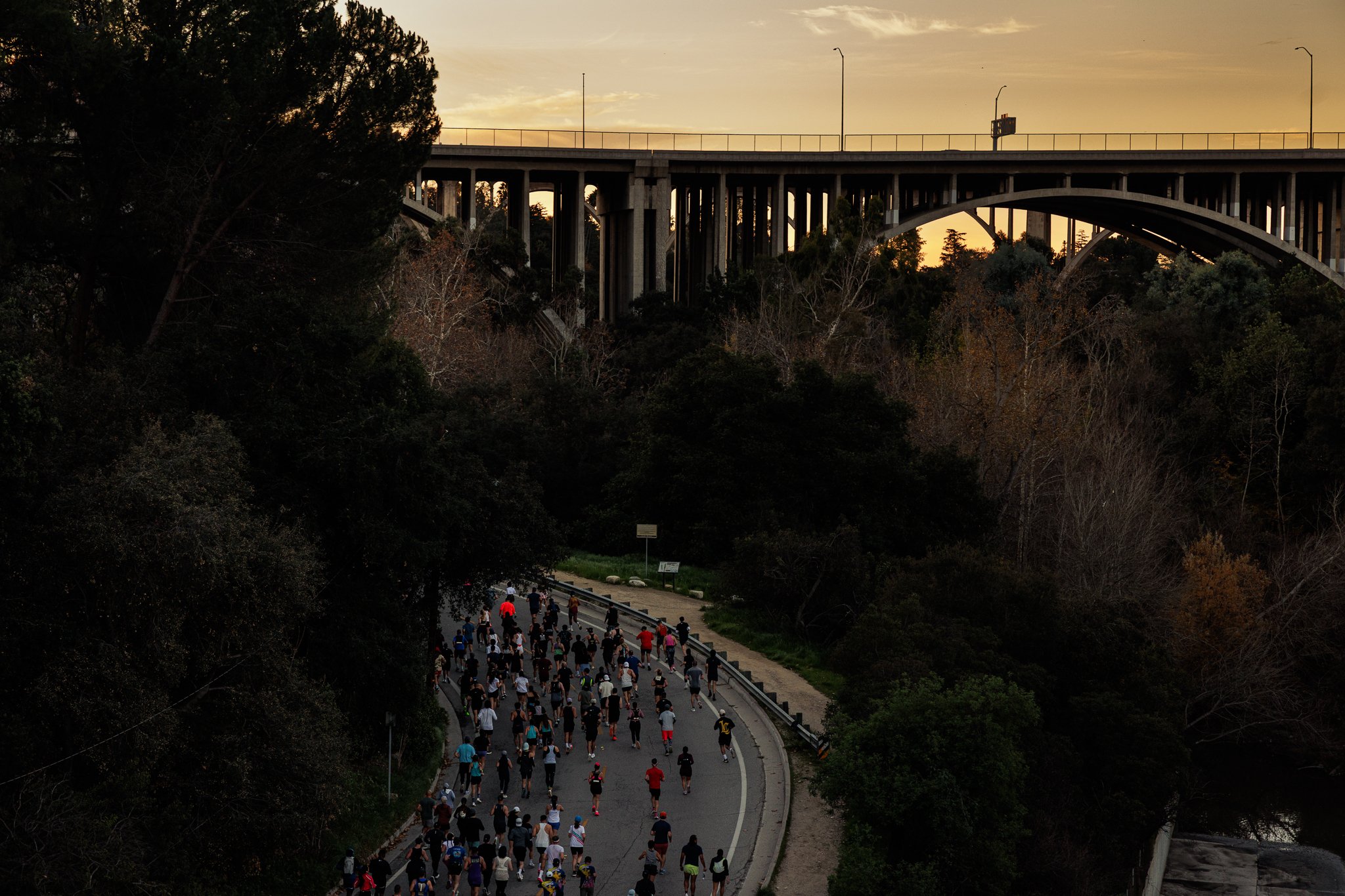 A large group of people jogging or walking on a winding road through a wooded area during sunset, with a bridge and highway in the background.