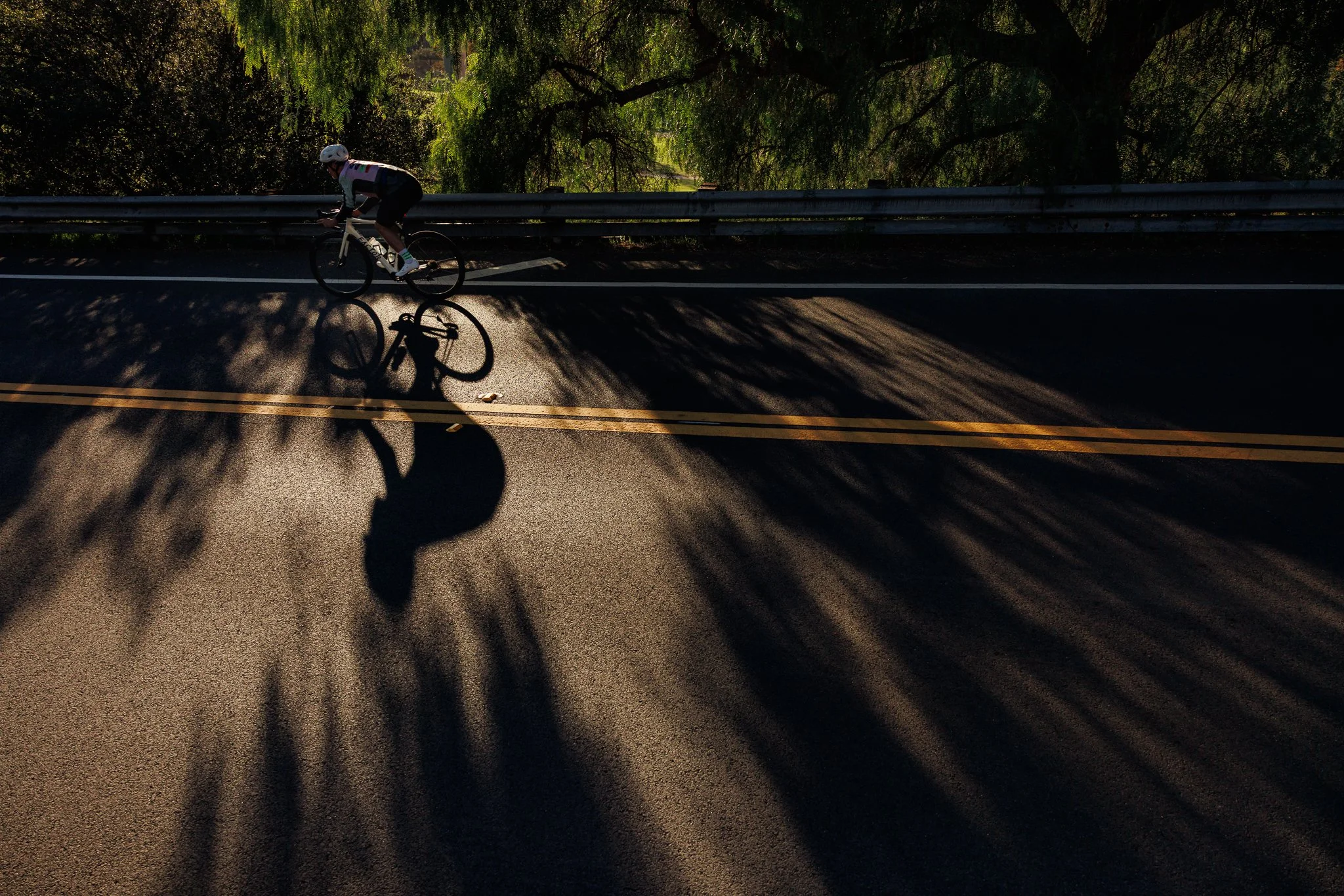 A cyclist riding on a road with shadows of trees cast across it, taken from above.