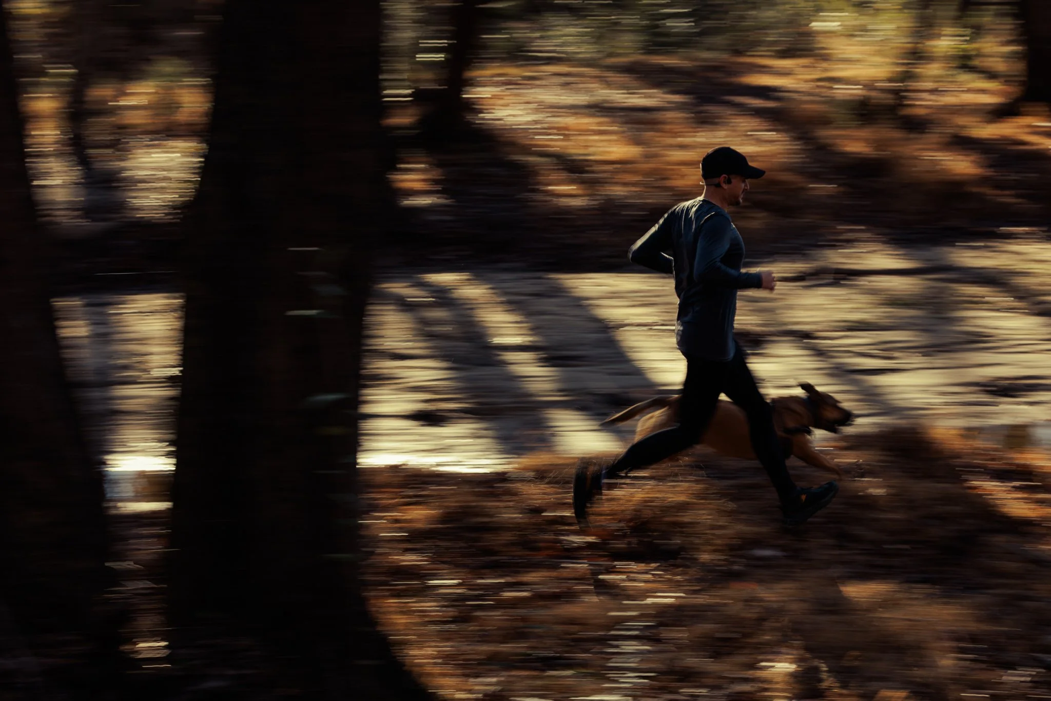 A person jogging with a dog in a forest during sunset, trees and fallen leaves on the ground.