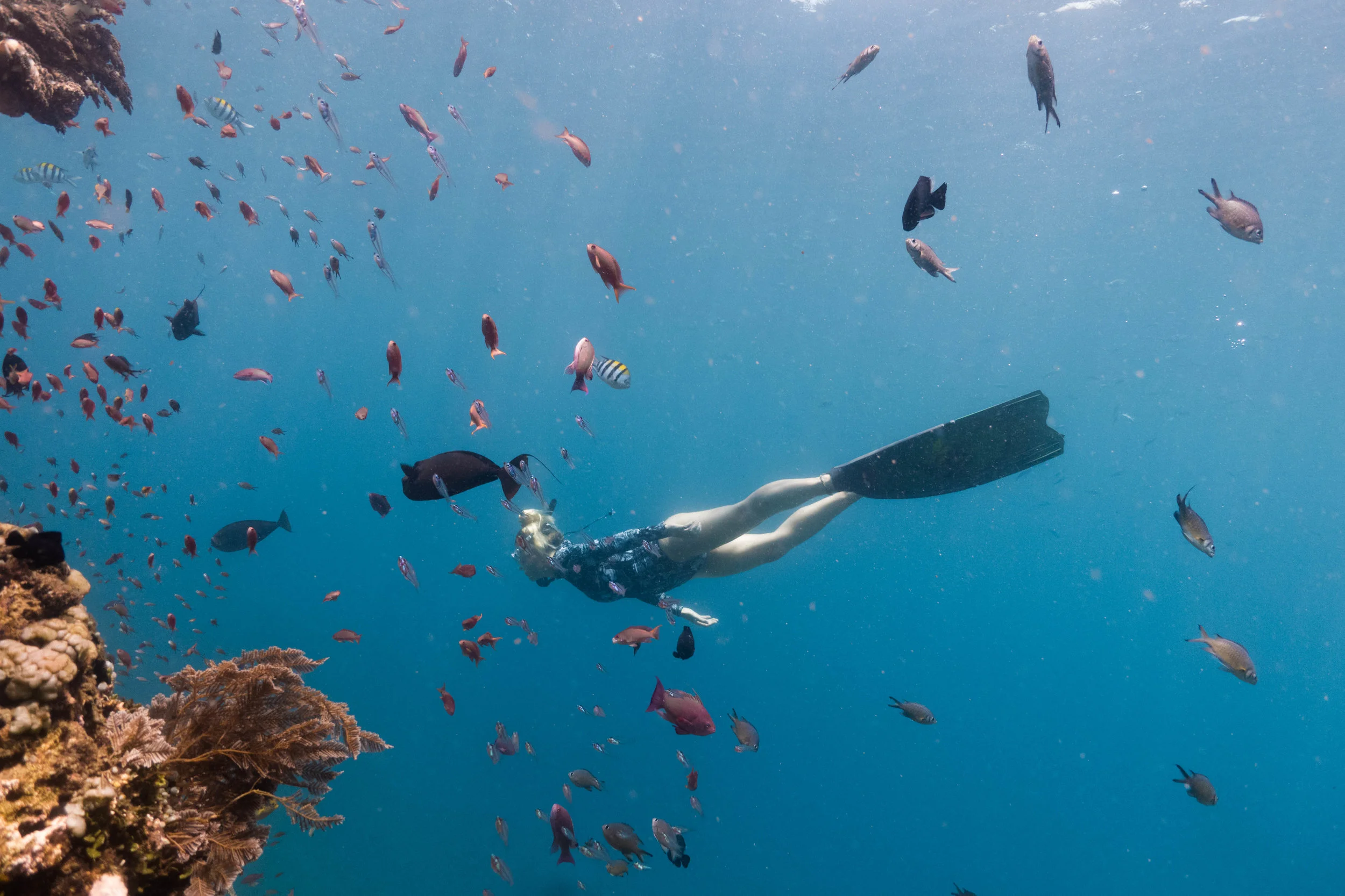 freediver.jpg