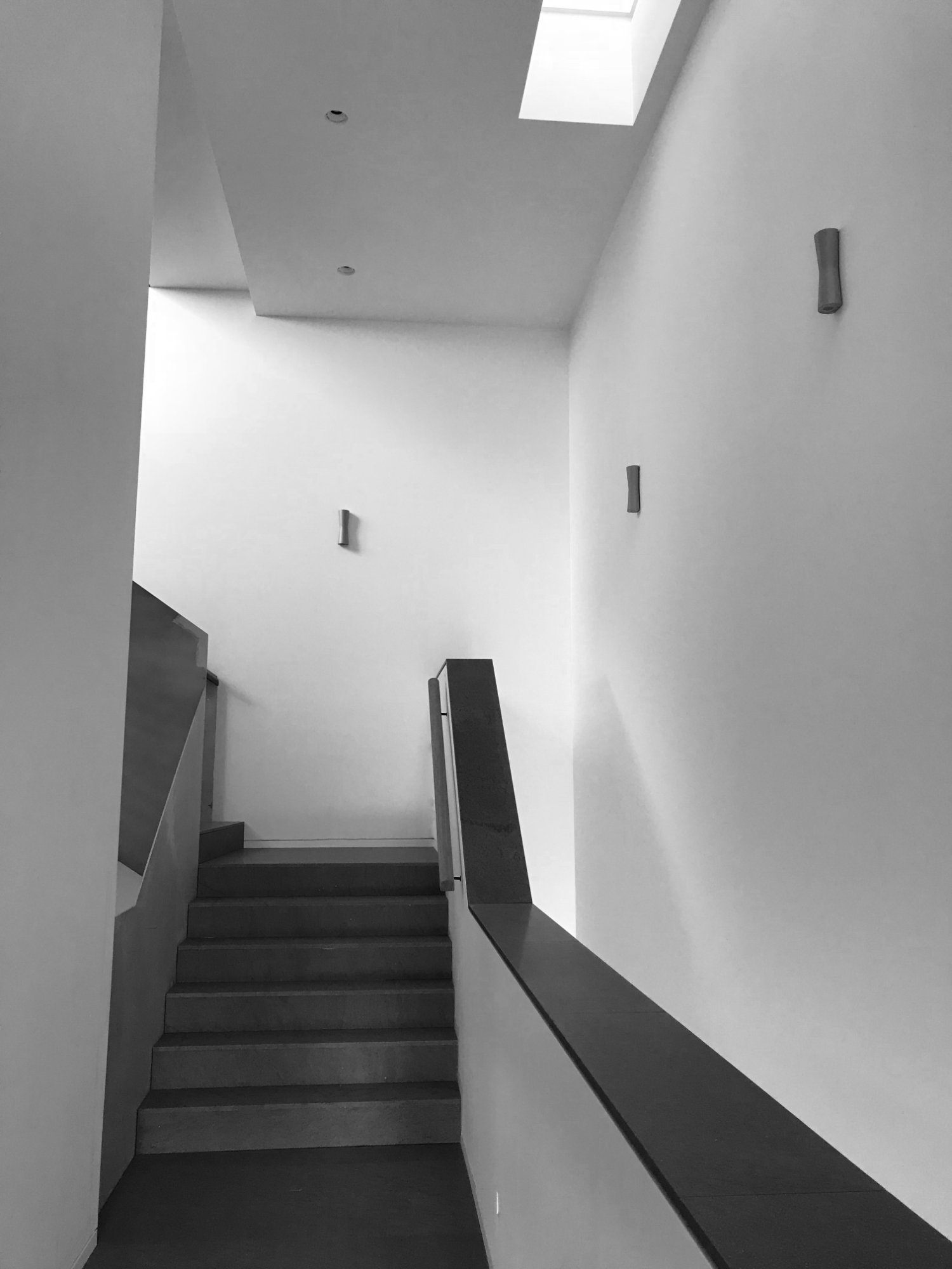 IMG_5295.png