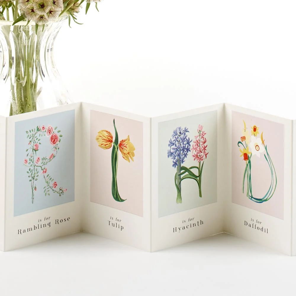 botanical_B_2 1_WEB.jpg