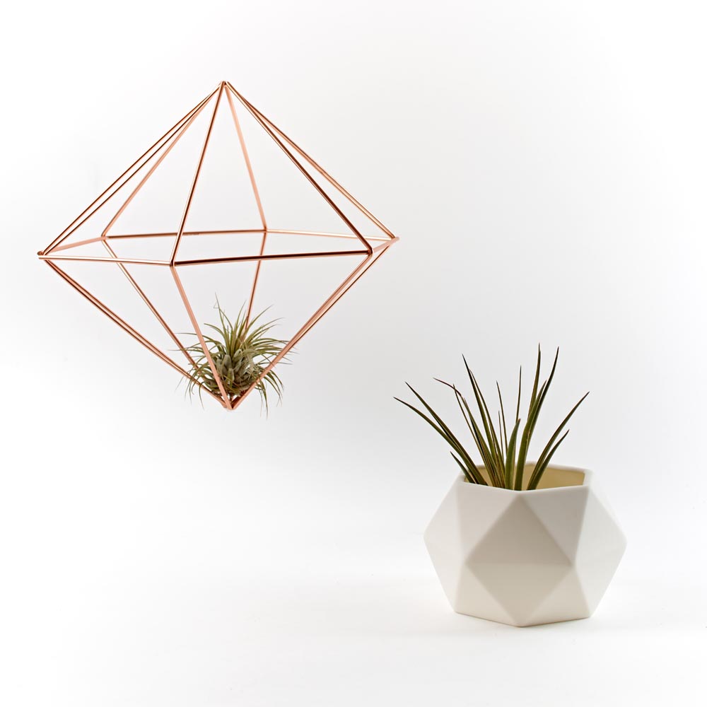 airplant_holder2_WEB.jpg