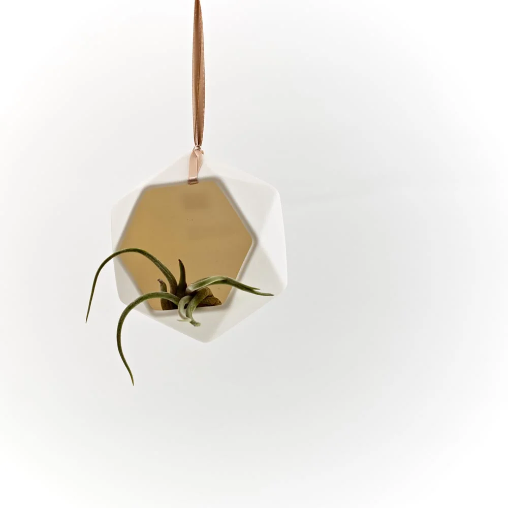 laverik_terarium_WEB.jpg