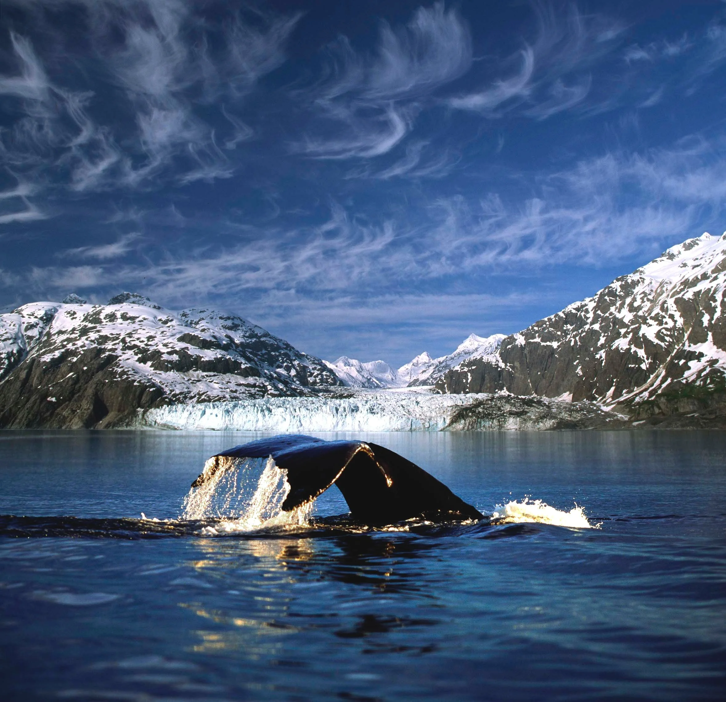 GlacierBay1_sm.jpg