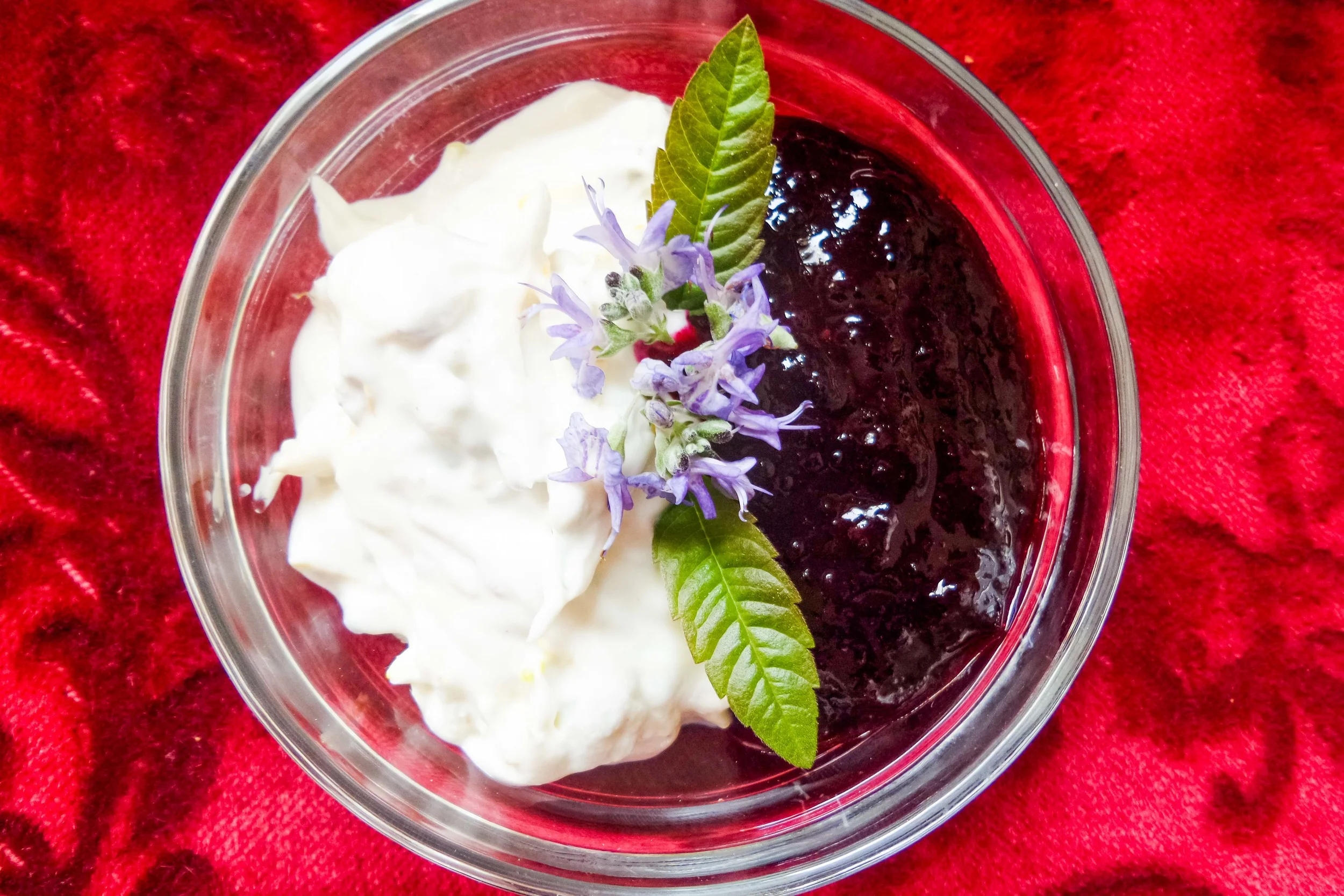 Blütenquark mit schwarzem Johannisbeerpüree
