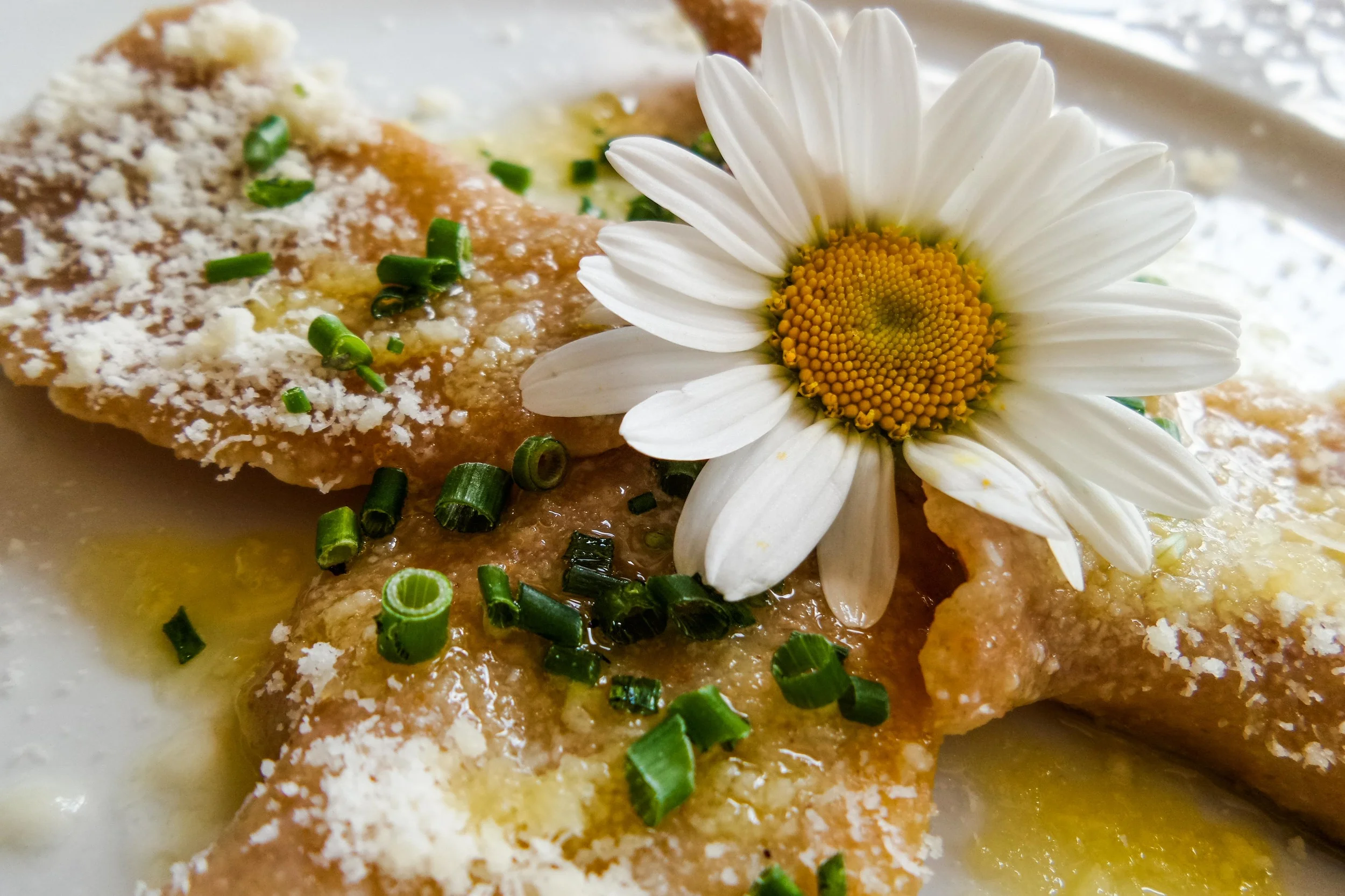 Vollkornteigtaschen mit Ricotta-Kräuterfüllung