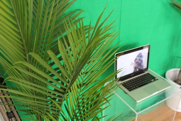 The+Green+Screen+Paintings+Keaton+Fox+5.jpg