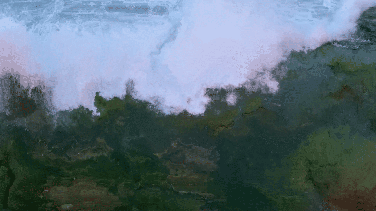 Motion Study from San Juan_Gif.gif