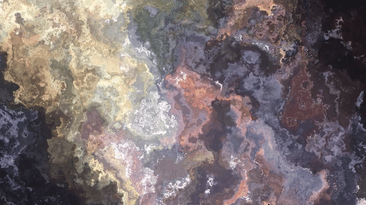 Motion Study from Merino Park_Gif.gif