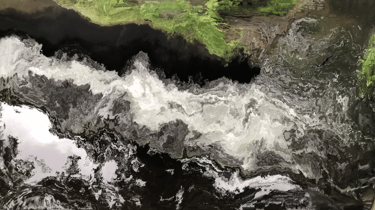 Motion Study from Roger Williams_Gif.gif