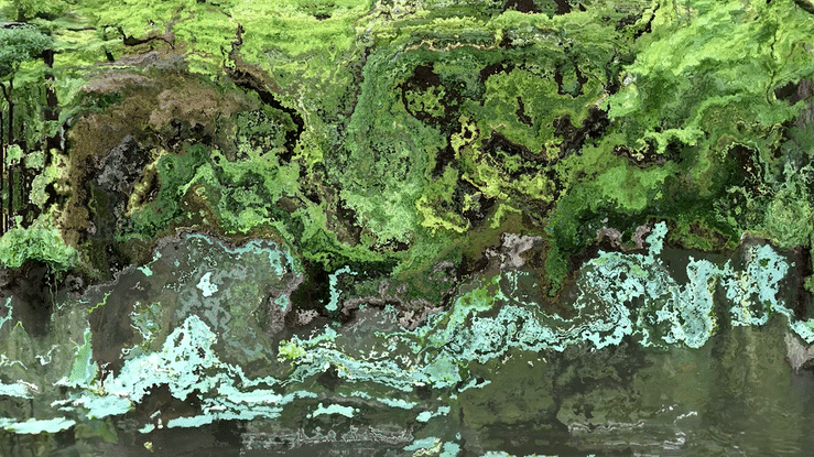 Motion Study from Expo '70_Gif.gif