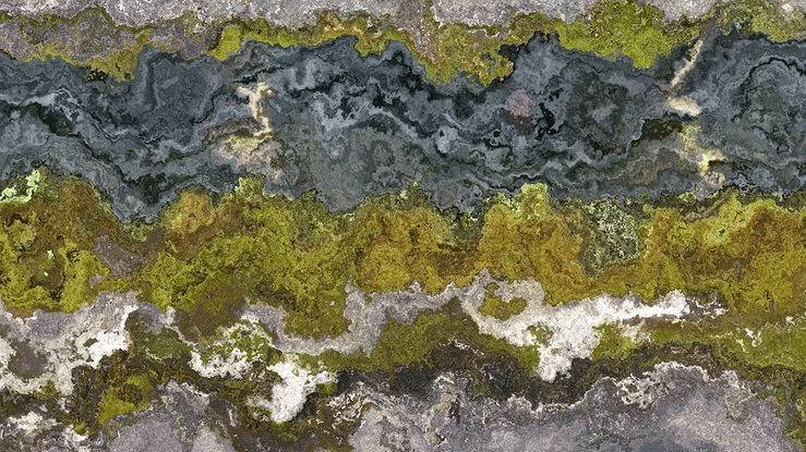 Motion Study from The Philosopher's Path_Gif.gif