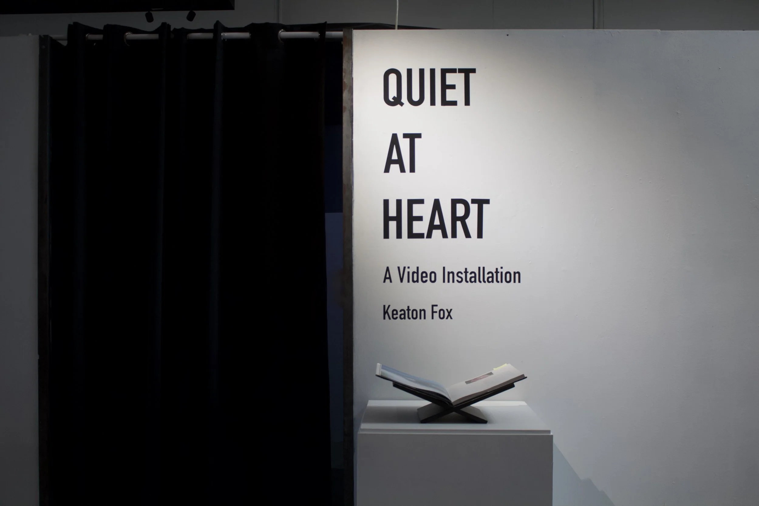 quiet-at-heart-florida-art-video-installation-keaton-fox-documentation-edited-image-40.jpeg