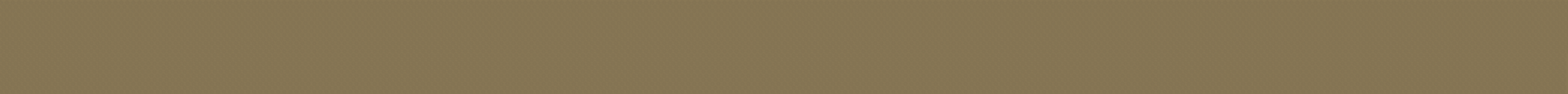pattern-16.png