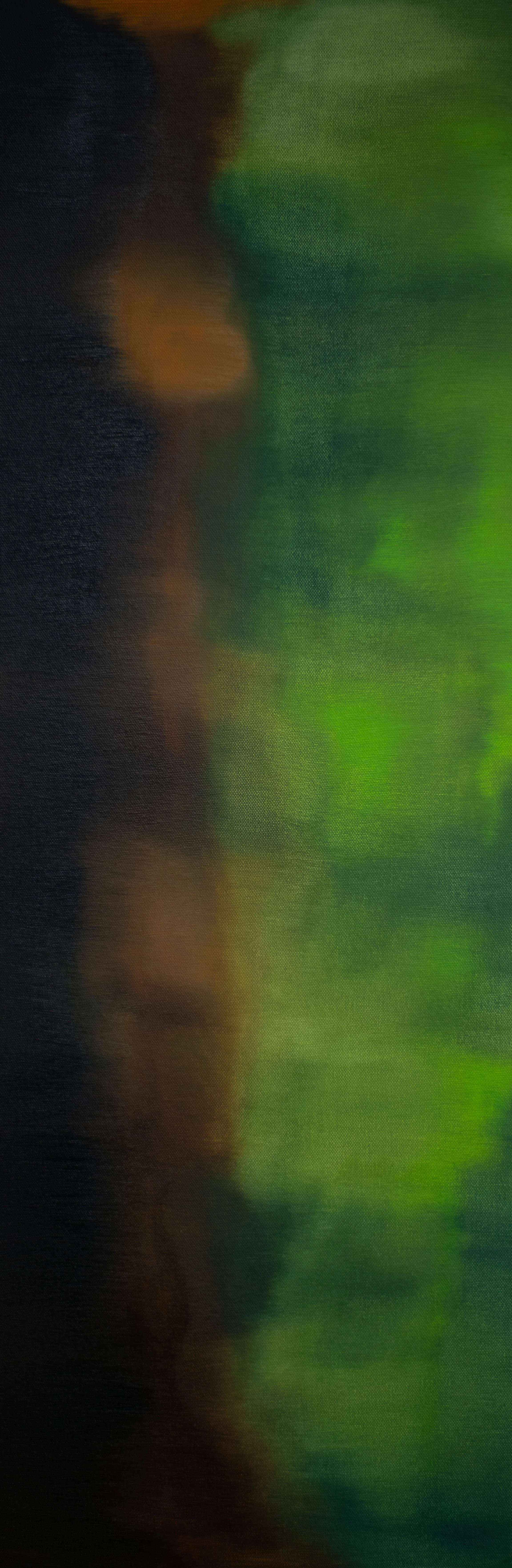 2025_Under the Canopy_36x12_small.jpg