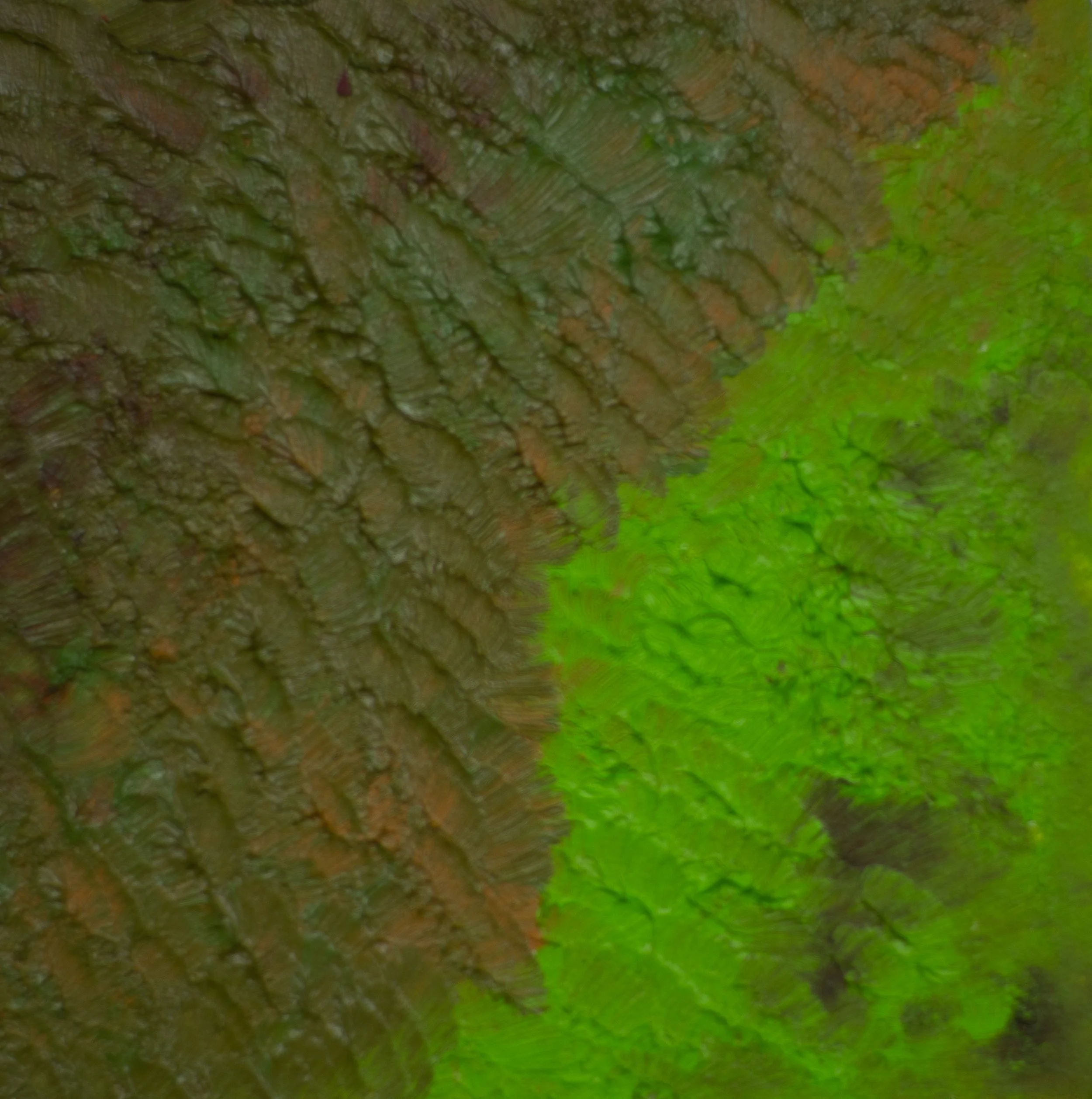 2025_Verdant Rift_4x4.jpg