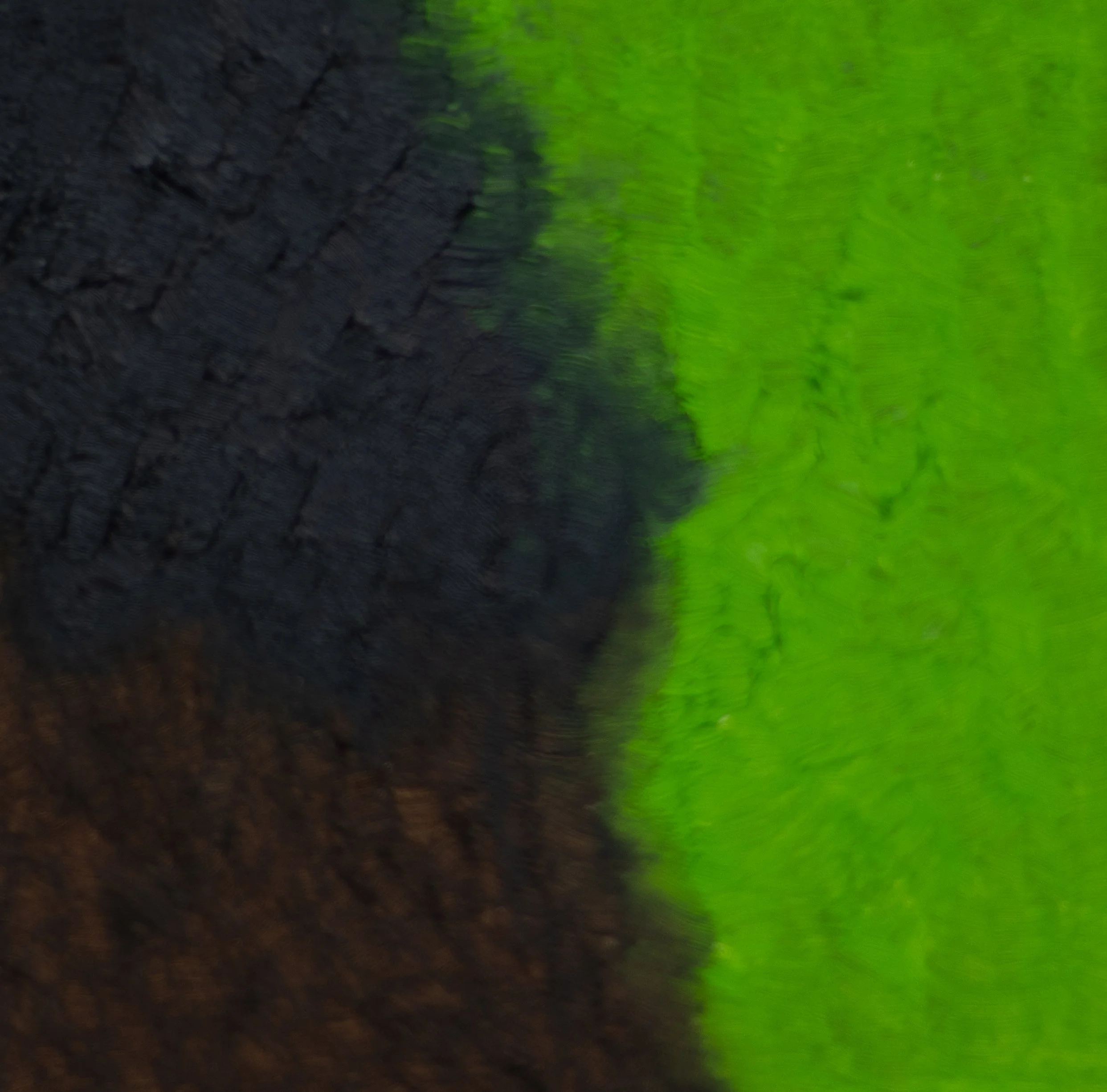 2025_Green Scar_4x4.jpg