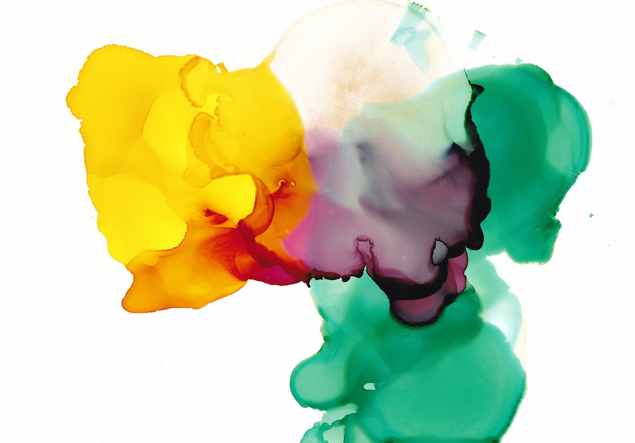 Lush Mirage - Prints