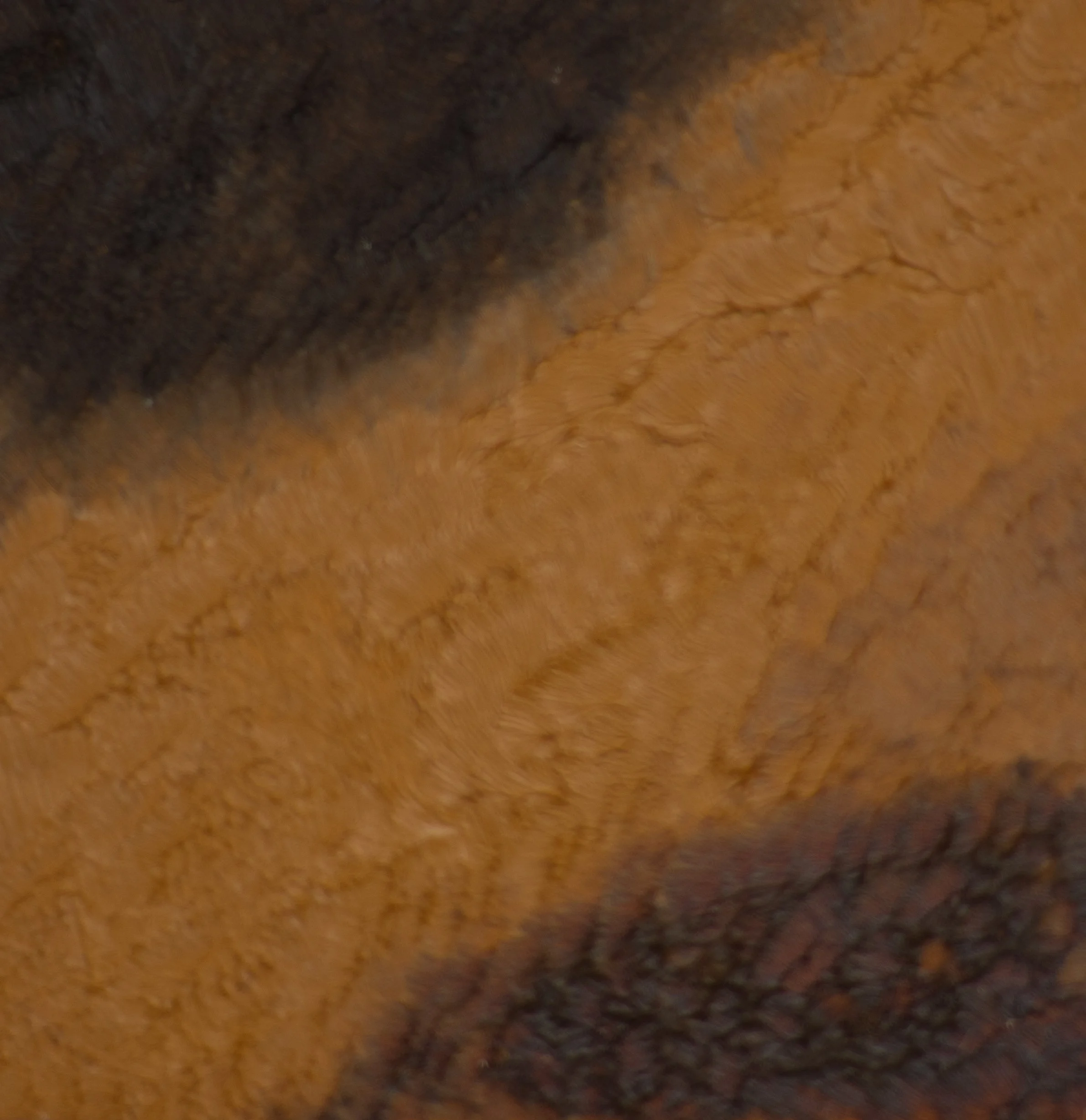 2025_Rust Veil_4x4.jpg