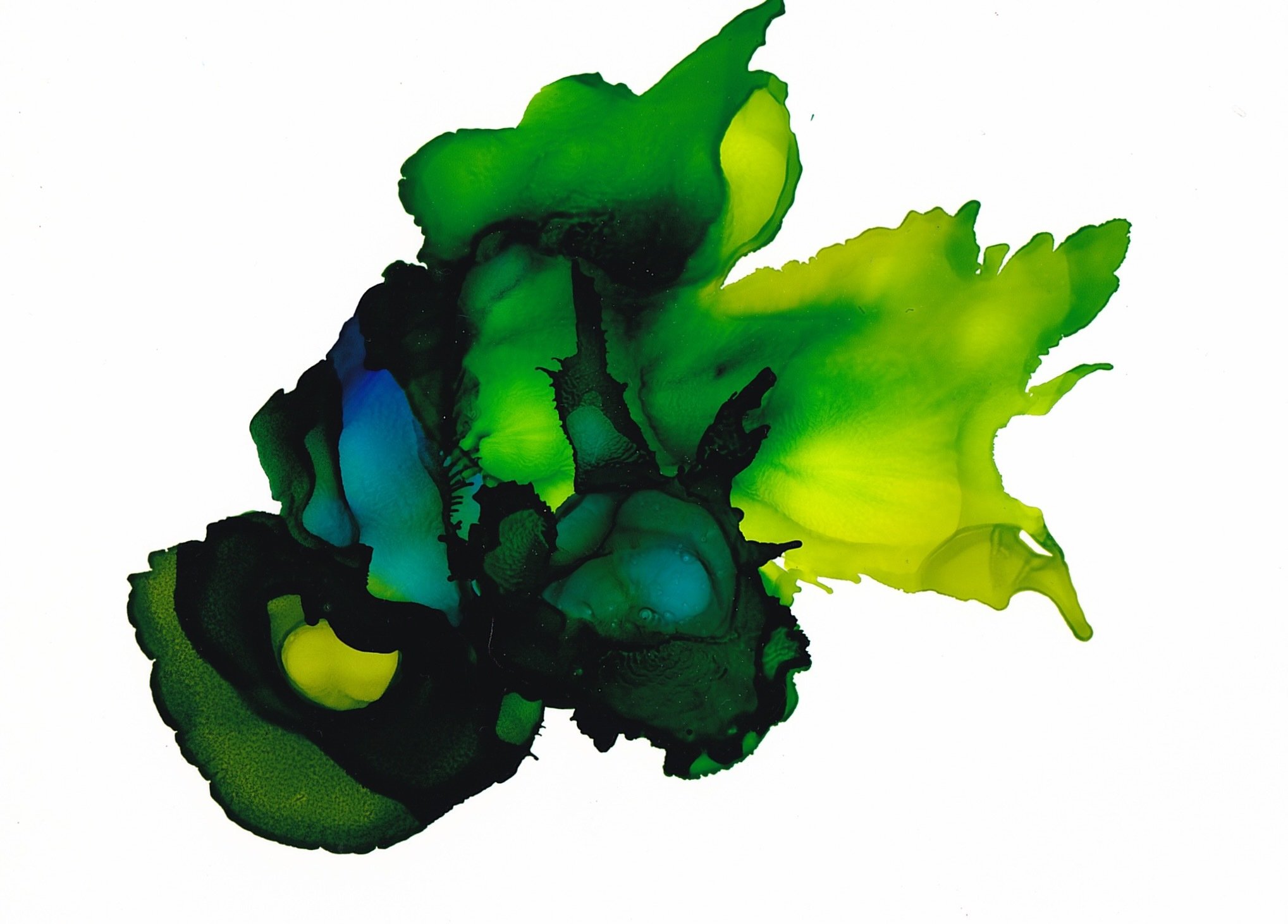 Aurora Flora - Prints