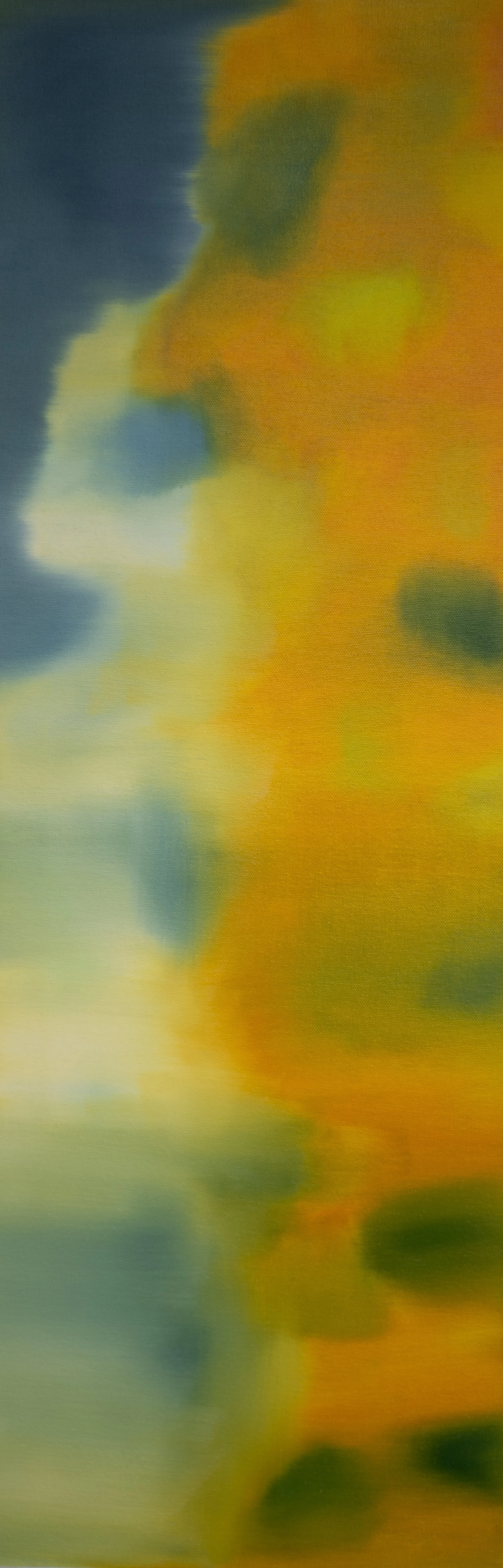 2025_In the Shallows_36x12.jpg